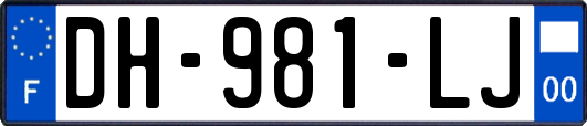 DH-981-LJ