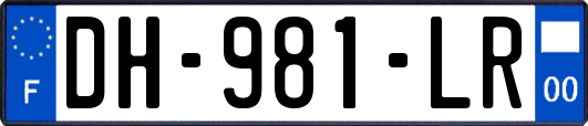 DH-981-LR