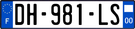 DH-981-LS
