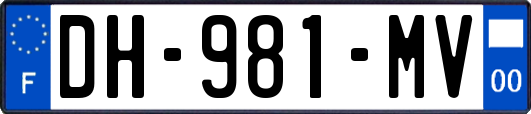DH-981-MV