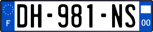 DH-981-NS