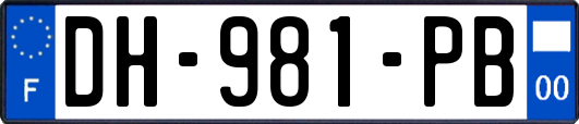 DH-981-PB