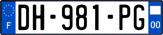 DH-981-PG