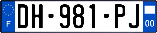 DH-981-PJ
