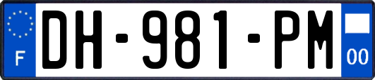 DH-981-PM