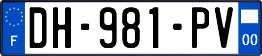 DH-981-PV