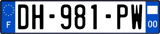 DH-981-PW