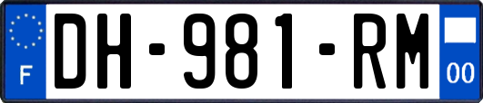 DH-981-RM