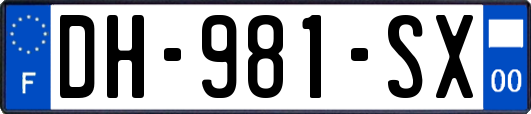 DH-981-SX