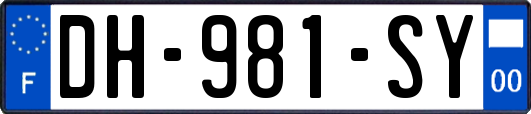 DH-981-SY