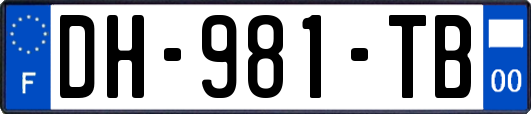 DH-981-TB