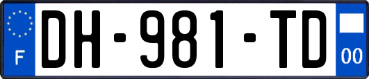 DH-981-TD