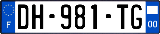 DH-981-TG
