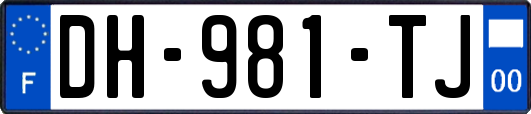 DH-981-TJ