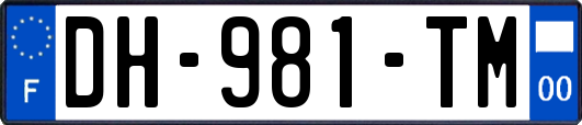 DH-981-TM