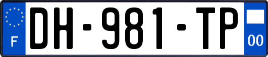 DH-981-TP