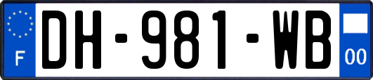 DH-981-WB