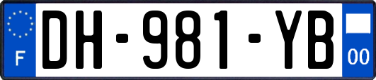 DH-981-YB