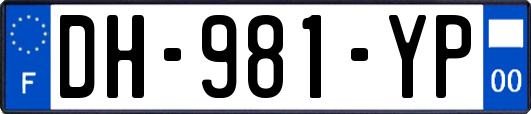 DH-981-YP