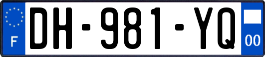 DH-981-YQ