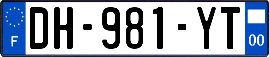 DH-981-YT