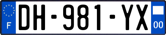 DH-981-YX