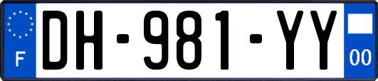 DH-981-YY