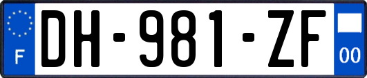 DH-981-ZF