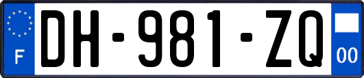 DH-981-ZQ
