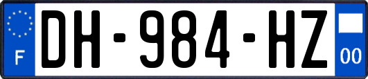 DH-984-HZ