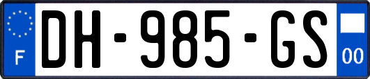 DH-985-GS