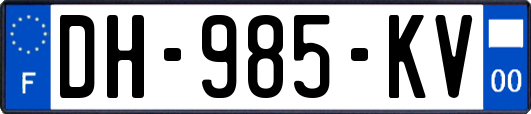 DH-985-KV