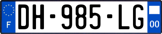 DH-985-LG