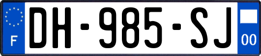 DH-985-SJ