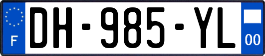 DH-985-YL