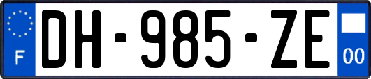 DH-985-ZE