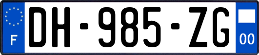 DH-985-ZG