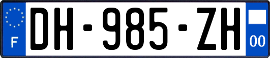 DH-985-ZH