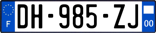 DH-985-ZJ