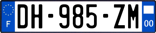 DH-985-ZM