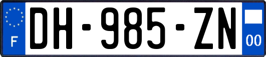 DH-985-ZN