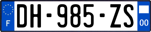 DH-985-ZS