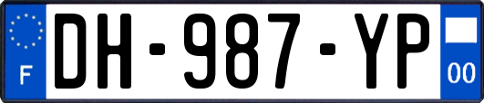 DH-987-YP