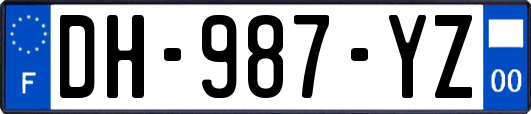 DH-987-YZ
