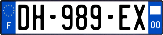 DH-989-EX