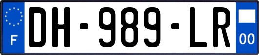 DH-989-LR