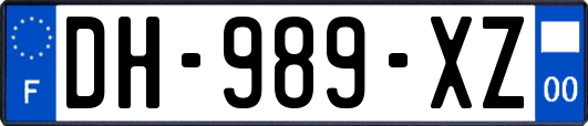 DH-989-XZ