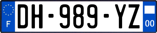 DH-989-YZ