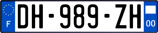 DH-989-ZH
