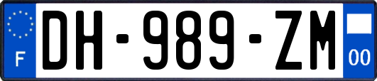 DH-989-ZM